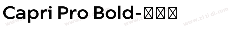 Capri Pro Bold字体转换